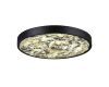 Настенно-потолочный светильник Odeon Light Bergi 5064/40L