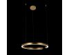 Подвесной светодиодный светильник Loft IT Ring 10013L