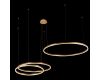 Подвесной светодиодный светильник Loft IT Ring 10017/3L