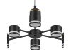 Люстра на штанге Lumion Virsava 8234/6C