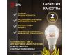 Фитолампа для растений Эра ФИТО A65-20W-PFR-E27-GR Б0068577
