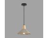 Подвесной светильник Lumion Suspentioni Eoliana 8351/1A