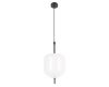 Подвесной светильник Loft IT Venice 10223/D White