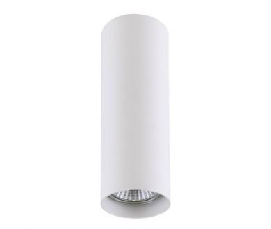 Купить Потолочный светильник Lightstar Rullo 214496 Потолочный светильник Lightstar Rullo 214496