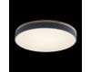 Потолочный светильник Loft IT AXEL 10001/36 Grey
