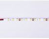 Светодиодная лента Ambrella Light LED Strip 12В 5050 14,4Вт/м 6500K 5м IP65 GS2103