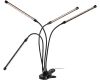Светильник для растений Эра FITO-40W-АLED-RaL Б0068288