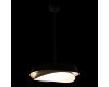 Подвесной светильник Loft IT Petale 10256P Black