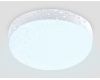 Уличный потолочный светильник Ambrella Light Street ST8626