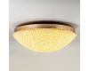 Потолочная люстра Modelux ML.2320.700 GD