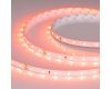 Светодиодная лента Arlight RT-A60-8mm 24V Carrot (4.8 W/m, IP20, 5m) 055375