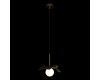 Подвесной светильник Loft IT Monro 10213/A Black