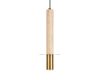 Подвесной светильник Loft IT Everest 10583A Bronze