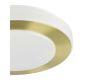 Потолочный светильник Eglo Led Carpi 900369