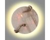 Настенный светильник Odeon Light Snake 7033/10WL