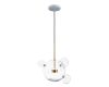Подвесной светильник Loft IT Bolle 2027-P4