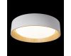 Потолочный светильник Loft IT Coin 10202 White