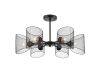 Люстра на штанге Lumion Tidina 8238/6C