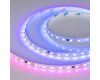 Светодиодная лента Arlight SPI-B60-10mm 24V RGB-PX6-BPT (12 W/m, IP20, 5060, 5m) 039180
