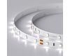 Светодиодная лента Arlight RT-A60-8mm 24V White6000 (4.8 W/m, IP20, 2835, 5m) 011504(2)