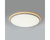 Потолочный светильник Citilux Norma CL749500