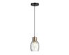 Подвесной светильник Lumion Ice 6562/1A