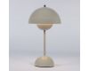 Настольная лампа Cloyd Erma 30133