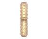 Настенный светильник ST Luce Saguaro SL6144.301.01