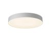 Потолочный светильник Citilux Bart CL755490