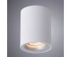 Накладной светильник ARTE Lamp A1532PL-1WH