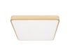 Потолочный светильник Loft IT Flims 10228/D