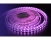 Светодиодная лента DesignLed DSG560-12-RGB-65 001489