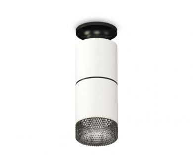 Купить Потолочный светильник Ambrella Light Techno Spot XS6301222 (N6902, C6301, A2061, C6301, N6151) Потолочный светильник Ambrella Light Techno Spot XS6301222 (N6902, C6301, A2061, C6301, N6151)