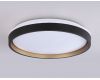 Потолочный светильник Ambrella Light Orbital Dance FZ610