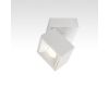 Спот Citilux CL558020N