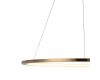 Подвесной светодиодный светильник Loft IT Ring 10014L
