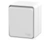 Выключатель 1-клавишный наружный Systeme Electric AtlasDesign Profi54 ATN540115