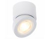 Светодиодный спот ST Luce ST654.532.10