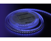 Светодиодная лента DesignLed DSG3A120-24-RGB-33 002845