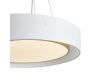 Подвесная люстра Freya Cozy FR6170PL-L52BS