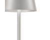 Настольная лампа F-Promo Pyari 4617-1T
