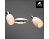 Спот Arte Lamp A4590AP-2SS