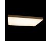 Потолочный светильник Loft IT Flims 10228/E