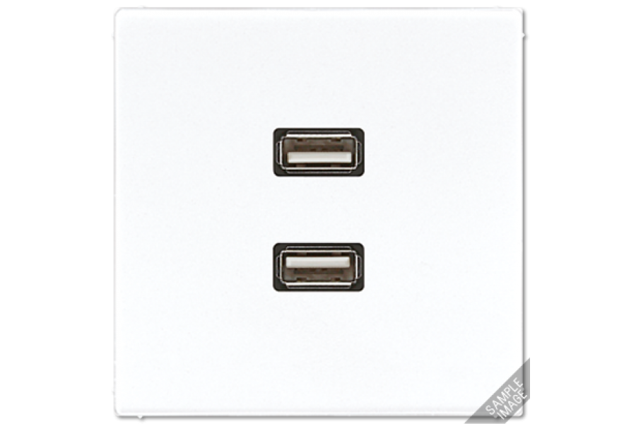 Розетка USB Jung MALS1153