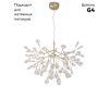 Подвесная люстра Crystal Lux Evita SP63 Gold/Transparent