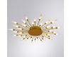 Потолочная люстра Arte Lamp Maple A1276PL-36GO
