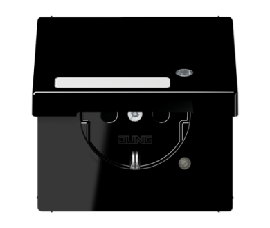 Купить Розетка Schuko с крышкой Jung LS1520NAKLKOSW Розетка Schuko с крышкой Jung LS1520NAKLKOSW