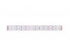Светодиодная лента DesignLed DSG5120-24-W+WW-33 000515