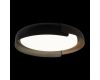 Потолочный светильник Loft IT Coin 10198 Black
