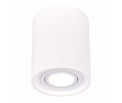 Купить Потолочный светильник ST Luce ST156.502.01 Потолочный светильник ST Luce ST156.502.01